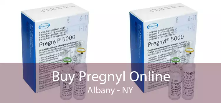 Buy Pregnyl Online Albany - NY