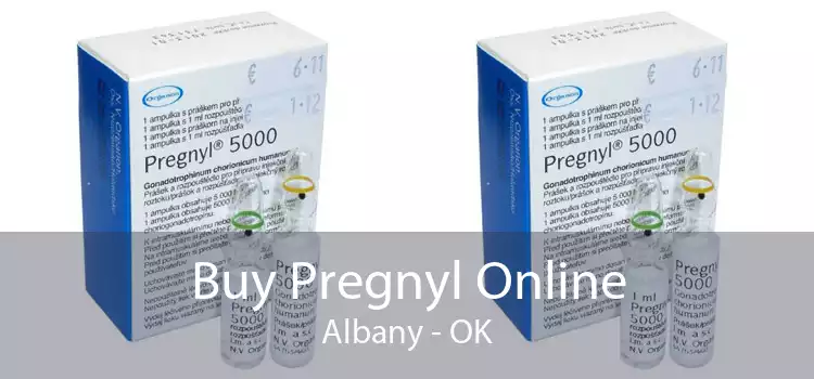 Buy Pregnyl Online Albany - OK