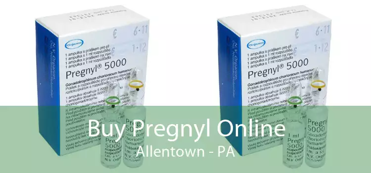 Buy Pregnyl Online Allentown - PA