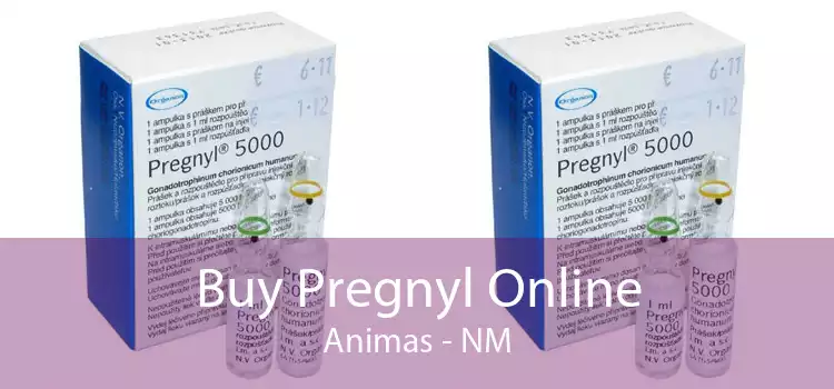 Buy Pregnyl Online Animas - NM