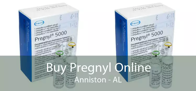 Buy Pregnyl Online Anniston - AL