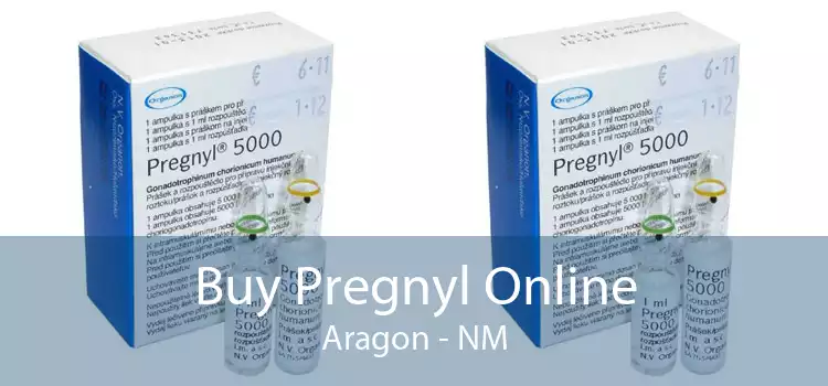 Buy Pregnyl Online Aragon - NM