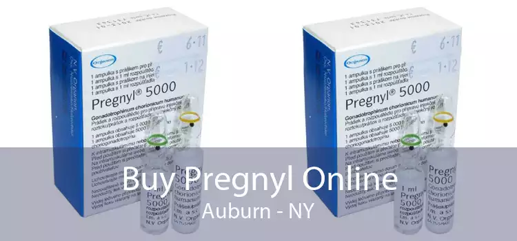 Buy Pregnyl Online Auburn - NY
