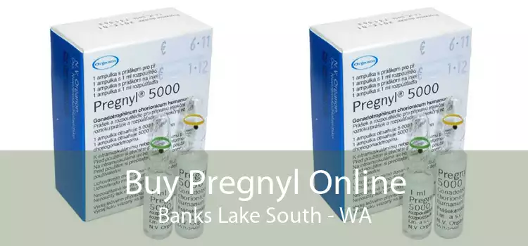 Buy Pregnyl Online Banks Lake South - WA