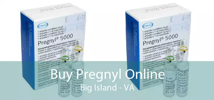 Buy Pregnyl Online Big Island - VA
