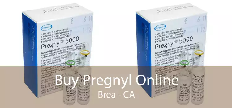 Buy Pregnyl Online Brea - CA