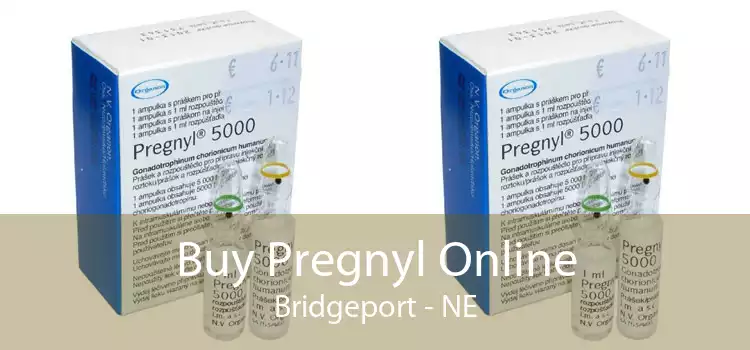 Buy Pregnyl Online Bridgeport - NE