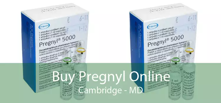 Buy Pregnyl Online Cambridge - MD