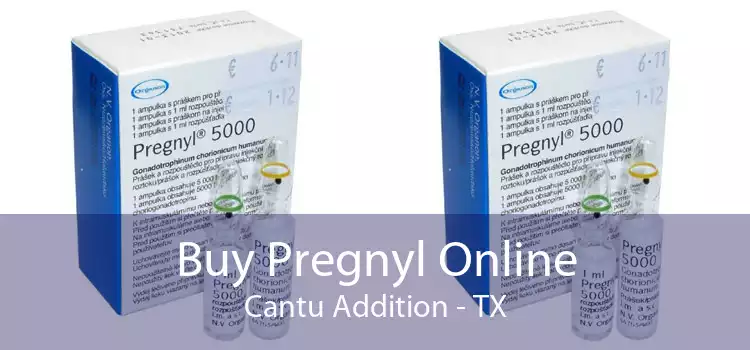 Buy Pregnyl Online Cantu Addition - TX