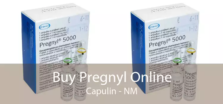 Buy Pregnyl Online Capulin - NM