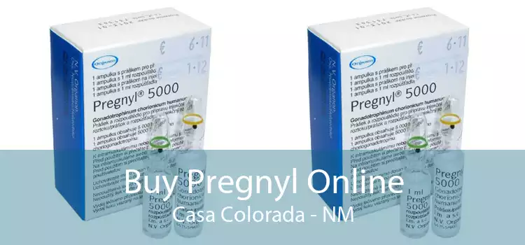 Buy Pregnyl Online Casa Colorada - NM