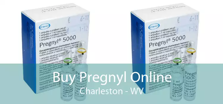 Buy Pregnyl Online Charleston - WV