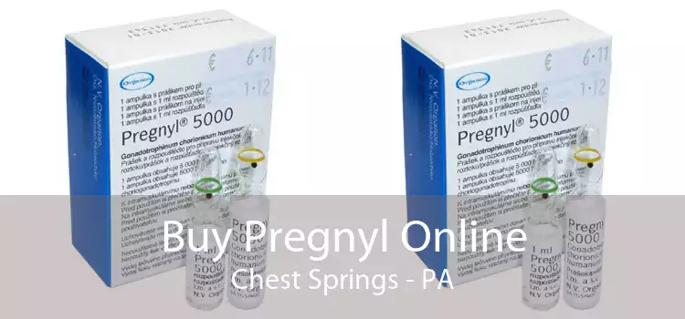 Buy Pregnyl Online Chest Springs - PA