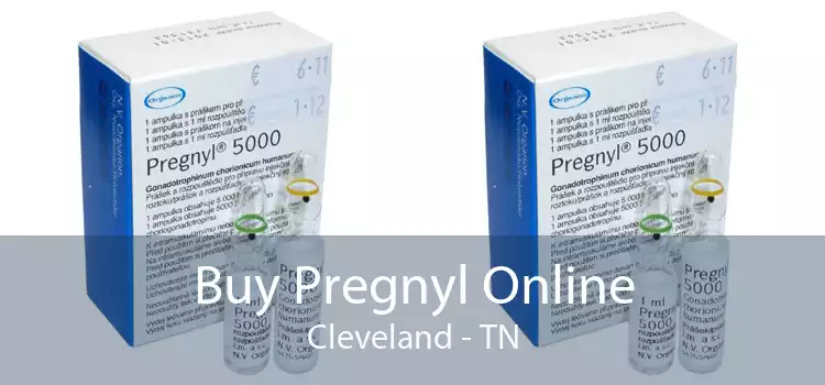 Buy Pregnyl Online Cleveland - TN
