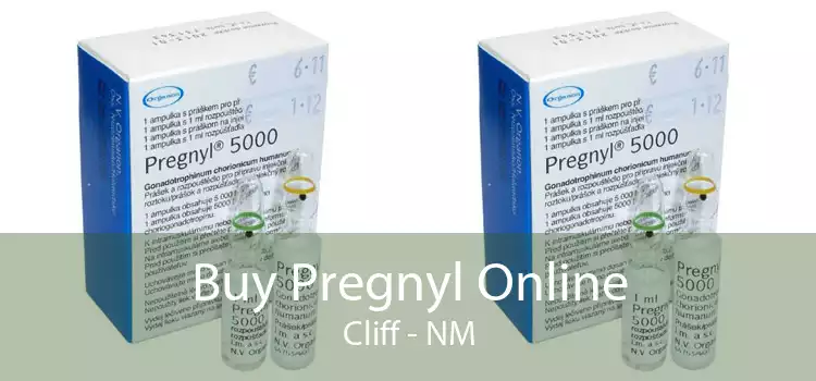 Buy Pregnyl Online Cliff - NM