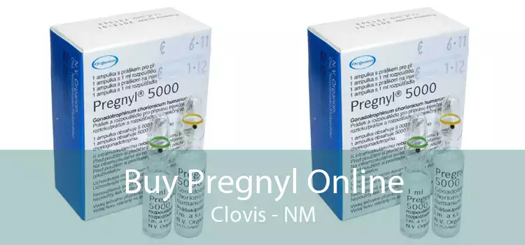 Buy Pregnyl Online Clovis - NM