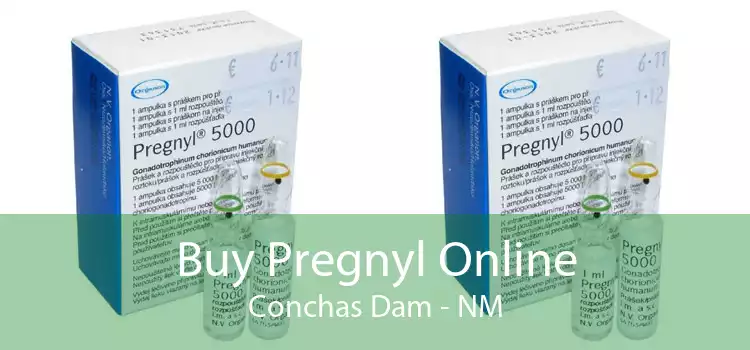 Buy Pregnyl Online Conchas Dam - NM