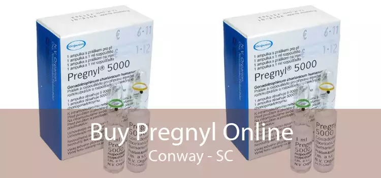 Buy Pregnyl Online Conway - SC