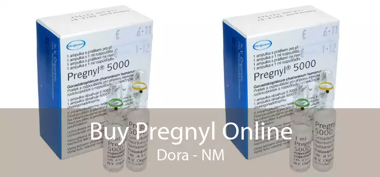 Buy Pregnyl Online Dora - NM