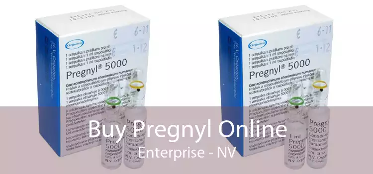 Buy Pregnyl Online Enterprise - NV