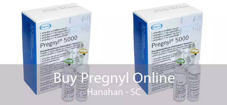 Buy Pregnyl Online Hanahan - SC