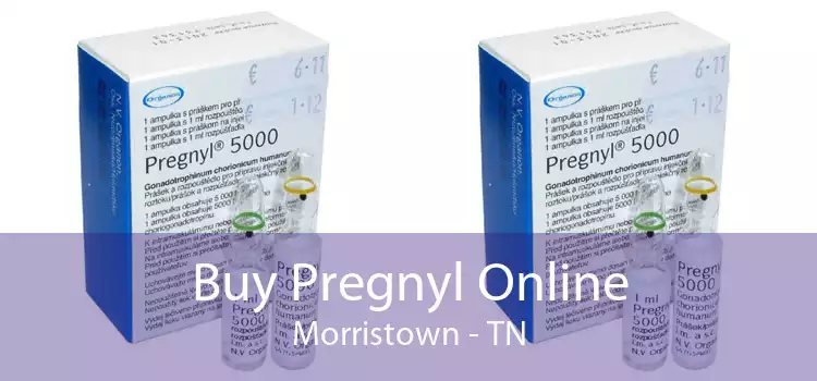Buy Pregnyl Online Morristown - TN