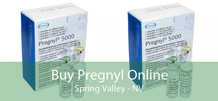 Buy Pregnyl Online Spring Valley - NV