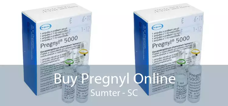 Buy Pregnyl Online Sumter - SC
